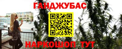 гидра Новокубанск