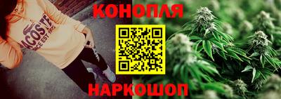 винт Новозыбков