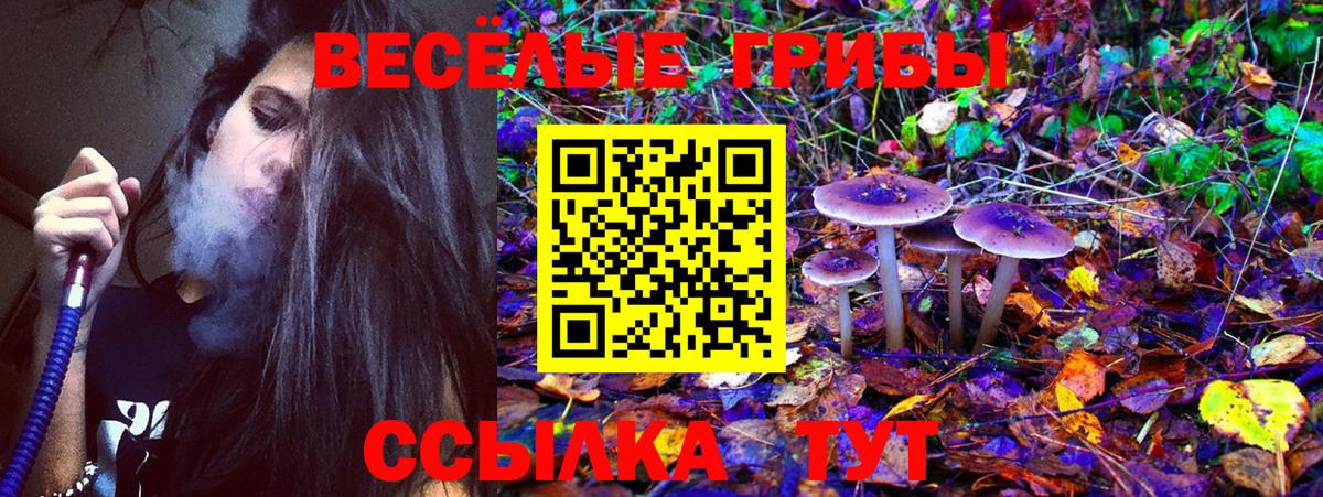 Санкт-Петербург  Галлюциногенные грибы Psilocybe  Вход с VPN  Галлюциногенные грибы ЛСД 