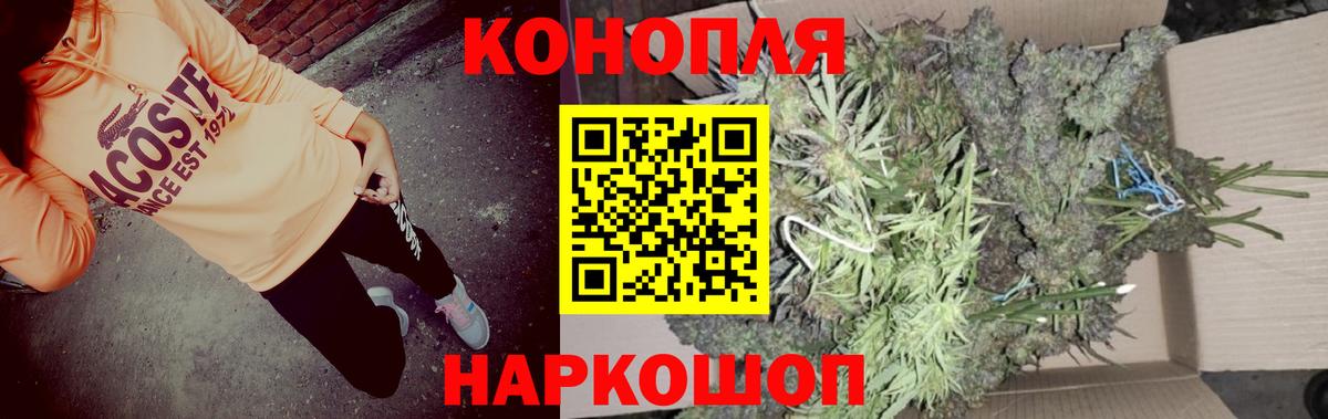 Канабис ГИДРОПОН  Шишки марихуана тримм  Санкт-Петербург  Вход с VPN  Канабис индика 